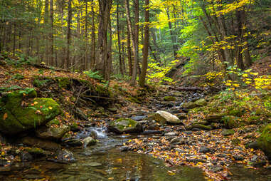 Mount Greylock