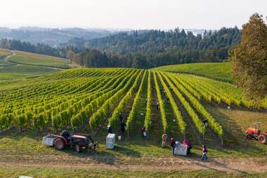 people working on a sweeping winery at sunset