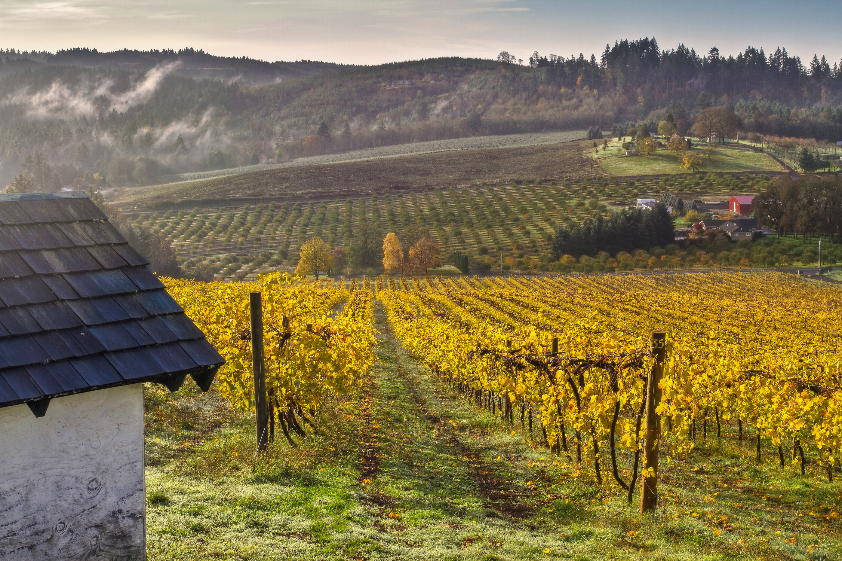 Fall in Love with Oregon’s Boozy, Laid-Back Wine Country