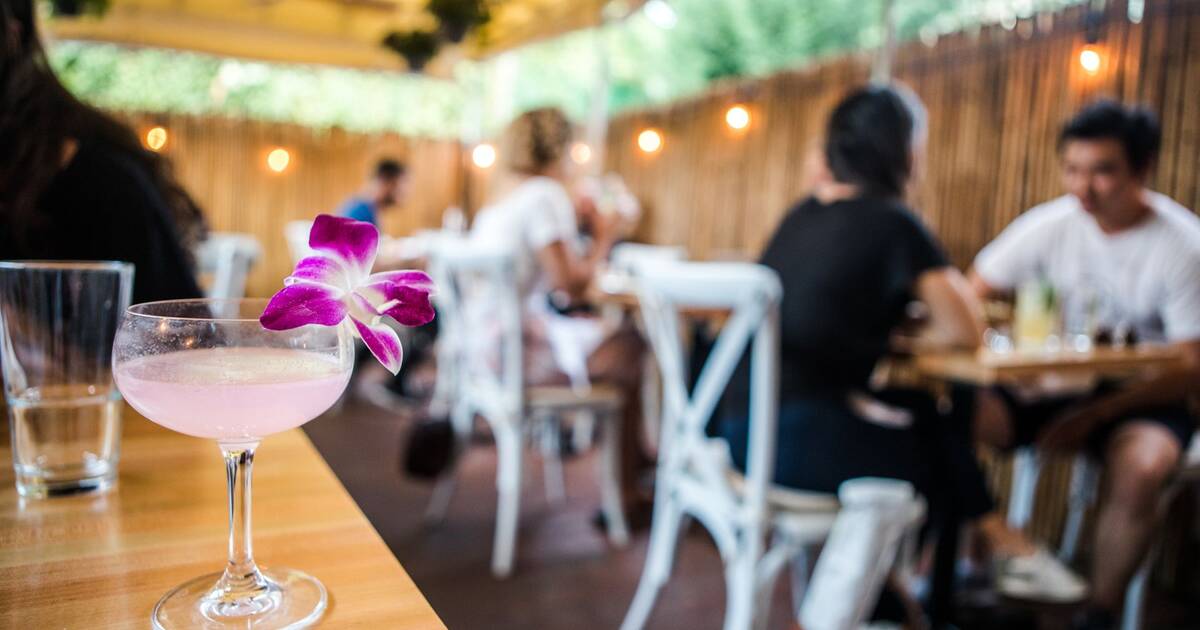 Best Happy Hours In Washington Dc Cheap Drinks In Every Neighborhood Thrillist