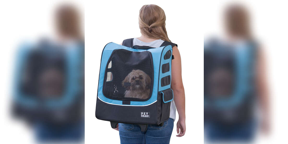 11 Best Dog Carriers On Amazon DodoWell The Dodo