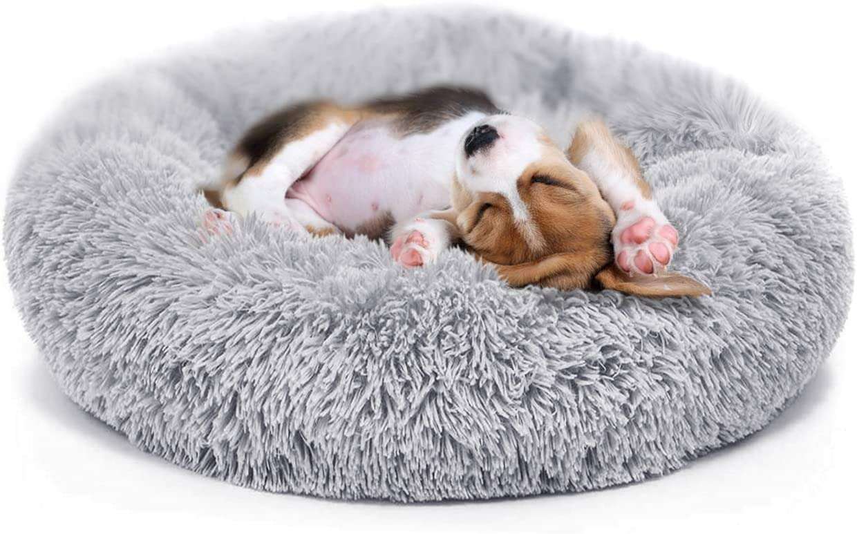 small dog beds amazon