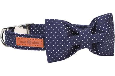 Fourhorse Cute Soft Dog with Bowtie, Detachable Adjustable Bow Tie Collar  Pet Gift (Small (Pack of 1), Blue Grid)
