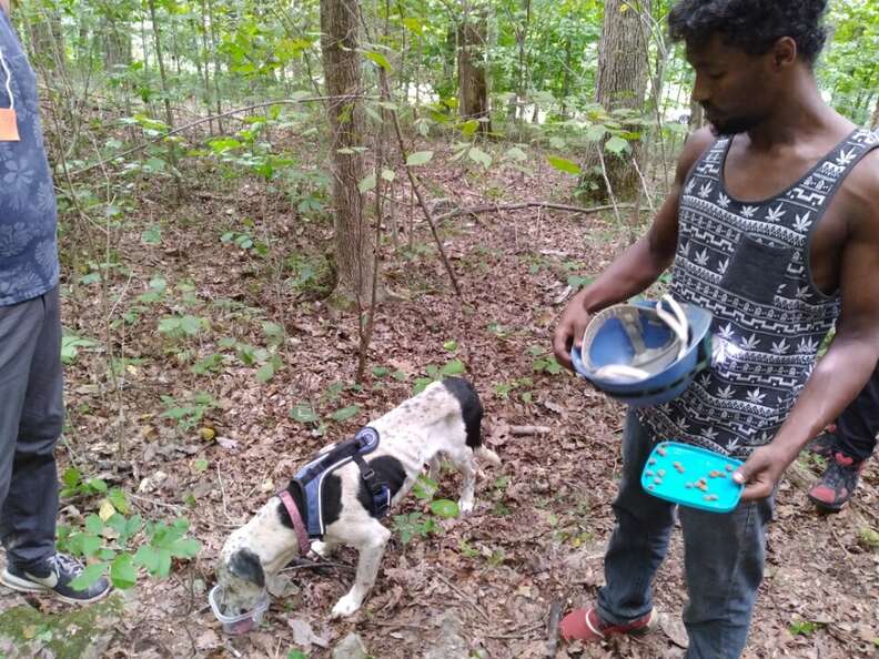 dog found in cave