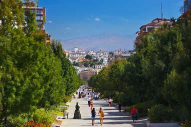 a tree lined lane leading to a hillside city