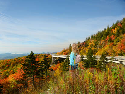 a woman looking out over mountains and autumn trees near a scenic highway