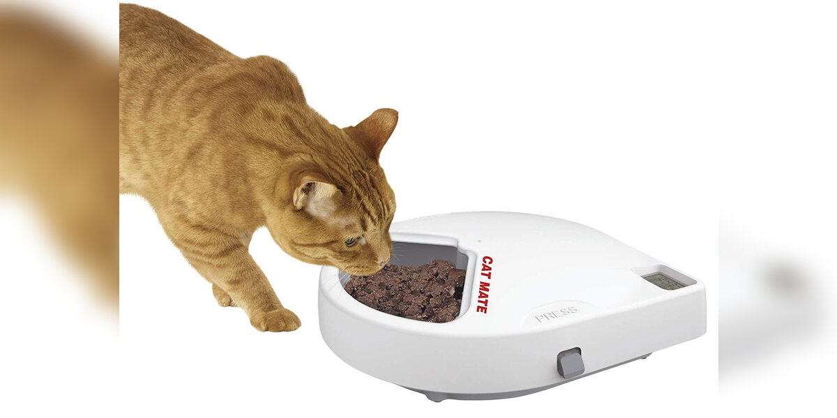 Best food sales dispenser for cats