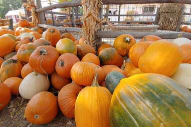 Anderson Farms