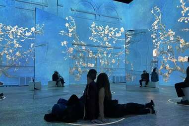 Immersive Van Gogh Exhibit Nashville