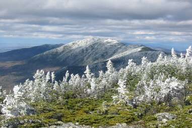 a snowy, pine-tree covered mountain view
