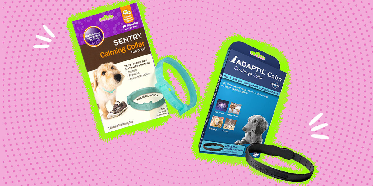 Anti anxiety clearance collar for dogs