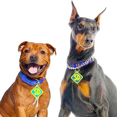 Scooby Doo Collar Tags