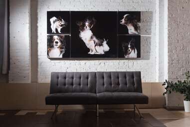 Candice C. Cusic Photography