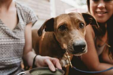 Saint Lou’s Assembly