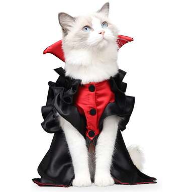 Cat Vampire Halloween Costume 