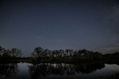 Brazos Bend State Park