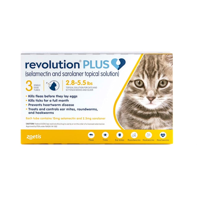 Flea tick heartworm for clearance cats