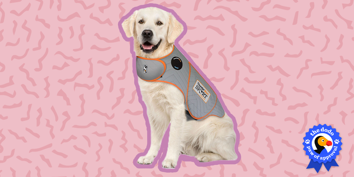 what is a thundershirt for dogs