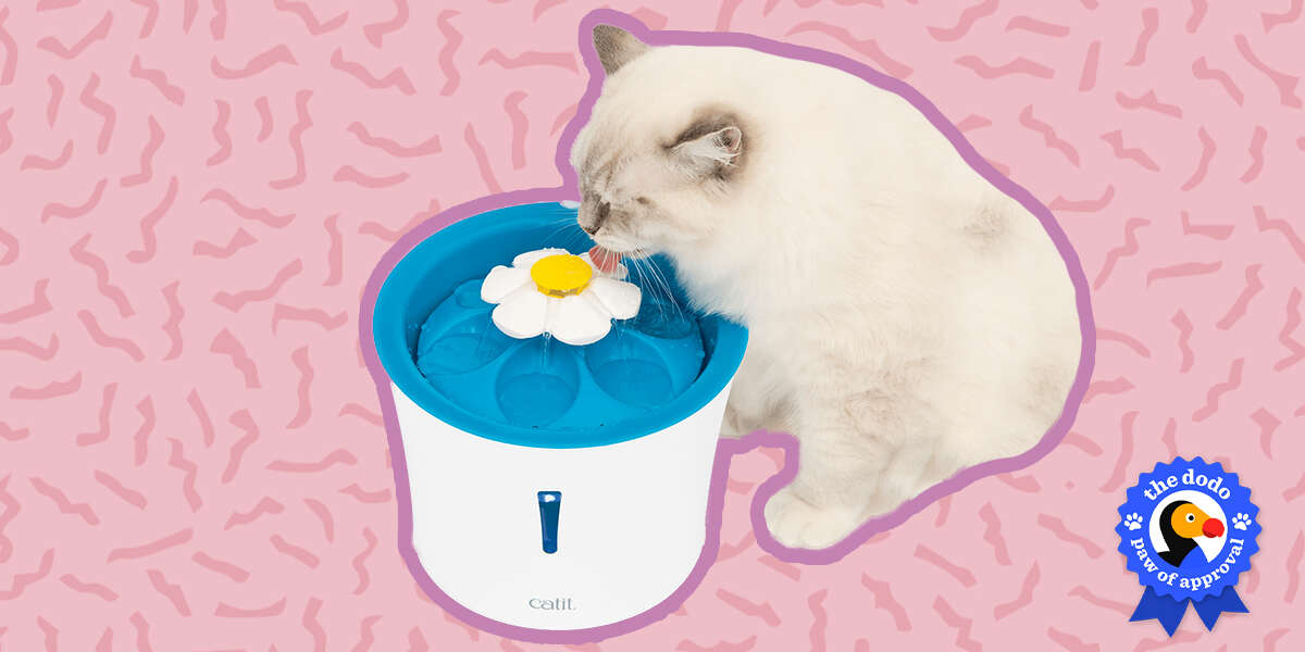 CATIT® FLOWER FOUNTAIN™ STAINLESS STEEL - TIENDA