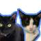 Mr. Kibbles and Alex
