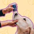 honest paws cbd balm