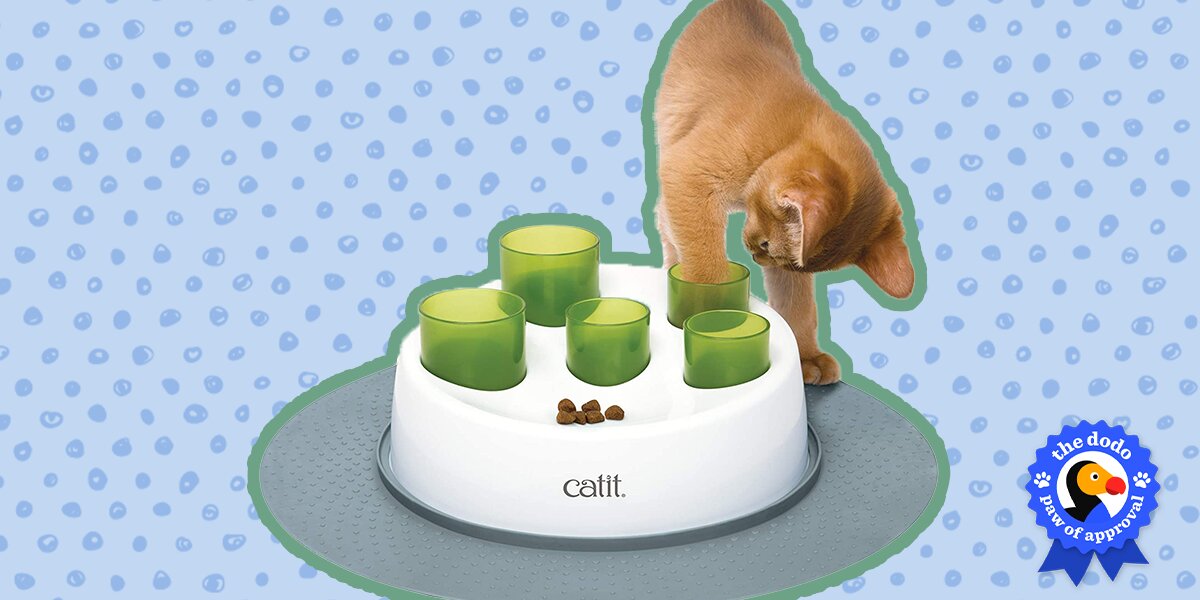 Catit Senses 2.0 Digger Interactive Slow Feeder - Turn Mealtime Into Play Time