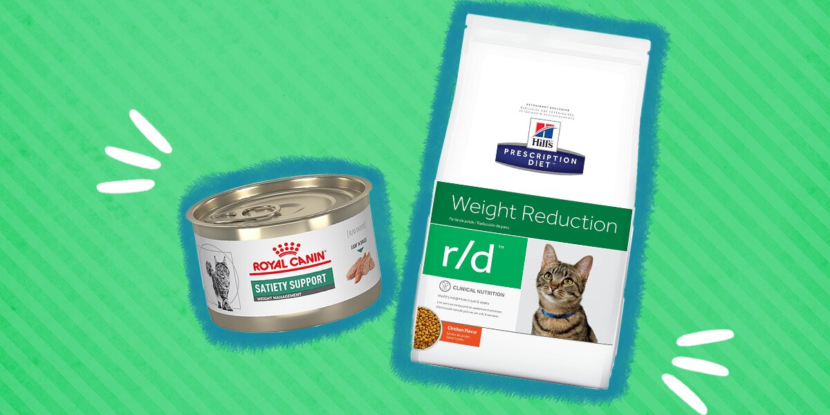 Best weight outlet management cat food