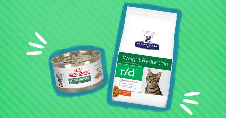 Cat diet hotsell for weight loss