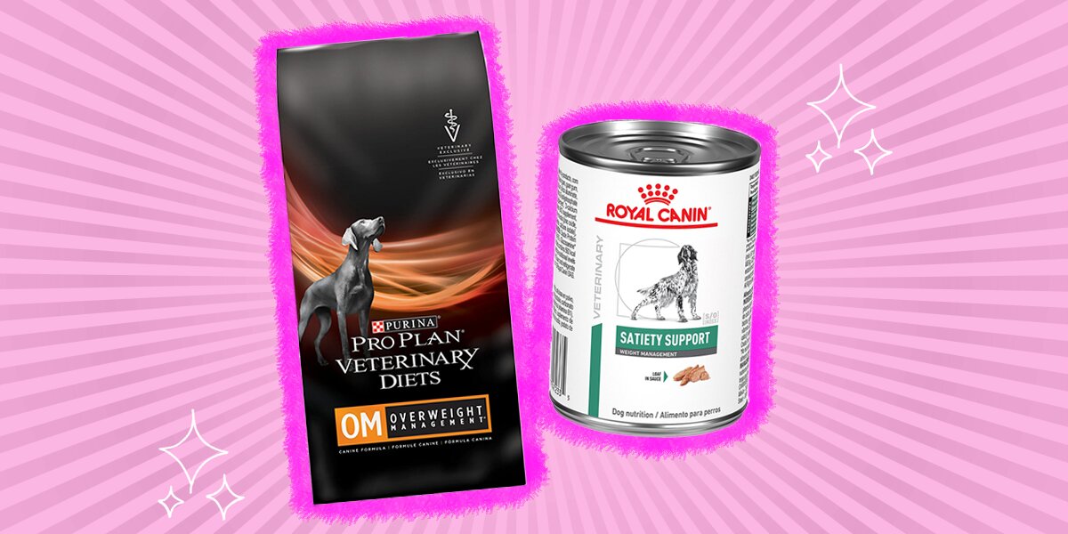 Best dog food cheap brands for weight loss