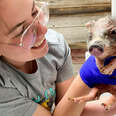 Tiny 3-Week-Old Piglet Rescued With Mange