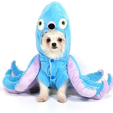 Octopus Costume
