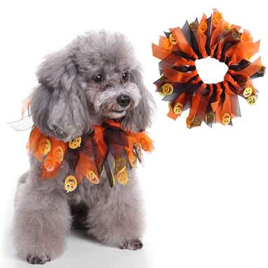 Yunison Fancy Halloween Pet Collar