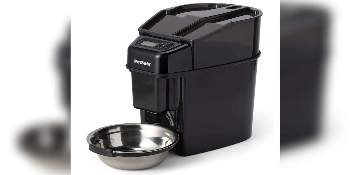 8 Best Automatic Dog Feeders On Amazon DodoWell The Dodo