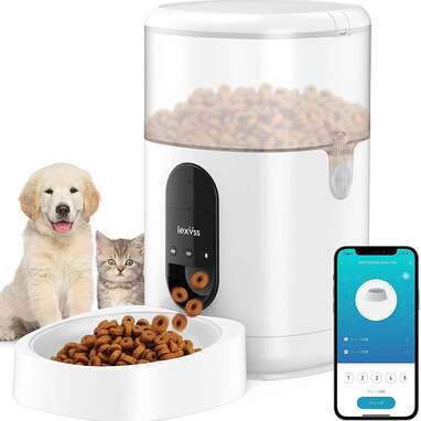 8 Best Automatic Dog Feeders On Amazon - DodoWell - The Dodo