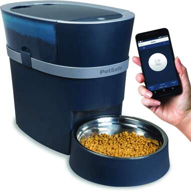 Best smart dog feeder clearance