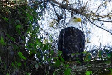 Armand Bayou Nature Center