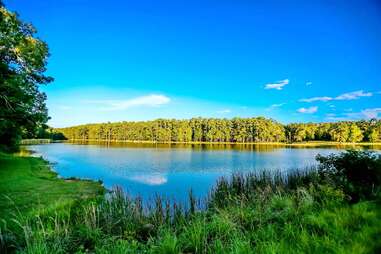 Alabama-Coushatta Tribe Of Texas Lake Tombigbee Campground