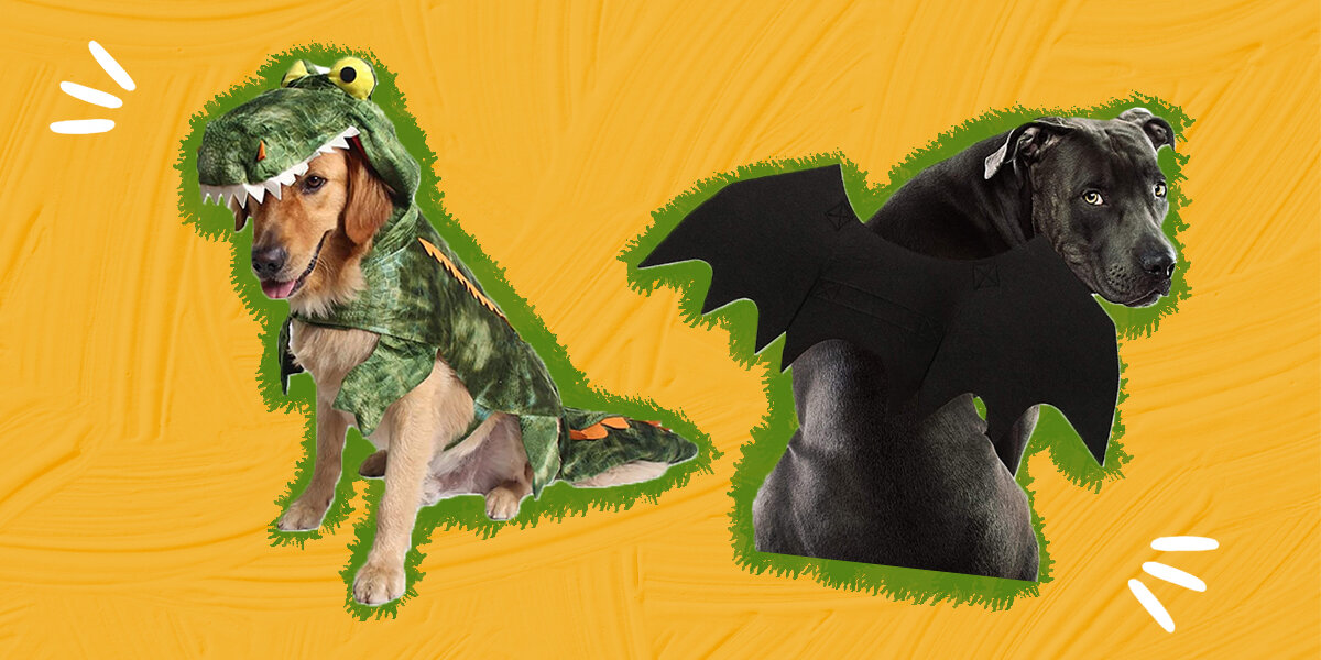 Cute big dog clearance costumes