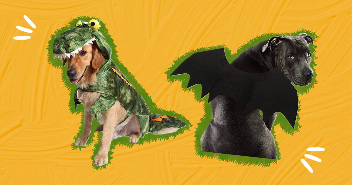 Large Dog Costumes: 13 Awesome Halloween Costumes Your Big Boy Or