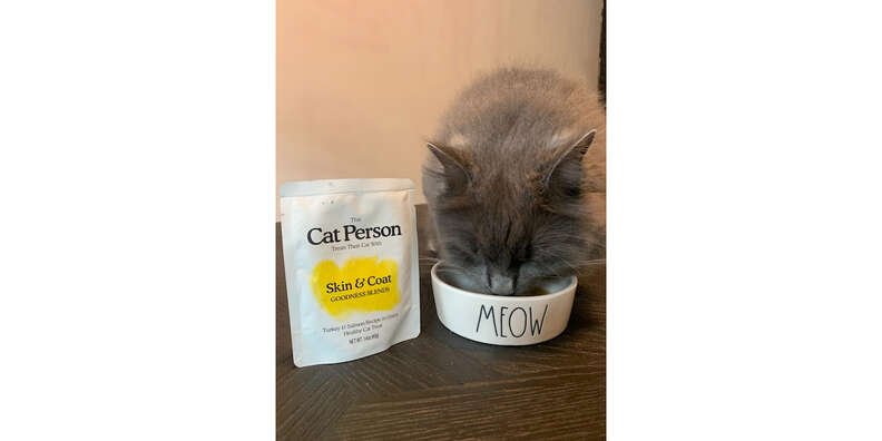 cat person treats