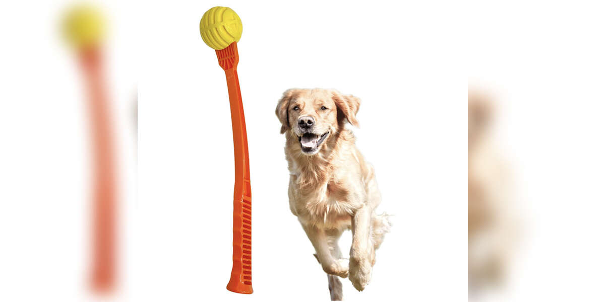 5 Best Dog Ball Launchers On Amazon DodoWell The Dodo