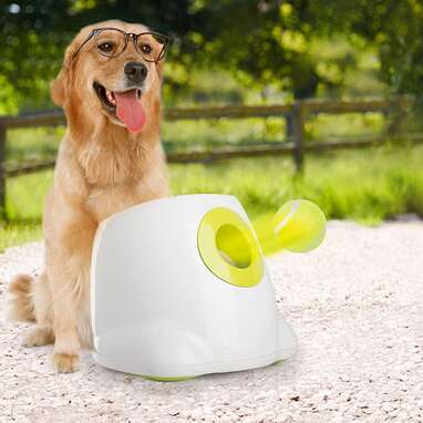 All For Paws Interactive Automatic Ball Launcher