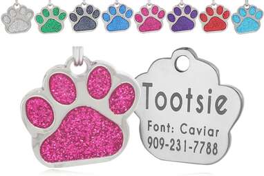 what are the best dog id tags