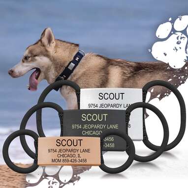 Road id pet store tags