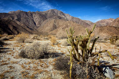 anza-borrego state park