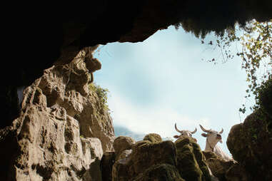 goats in il buco, il buco movie 2021