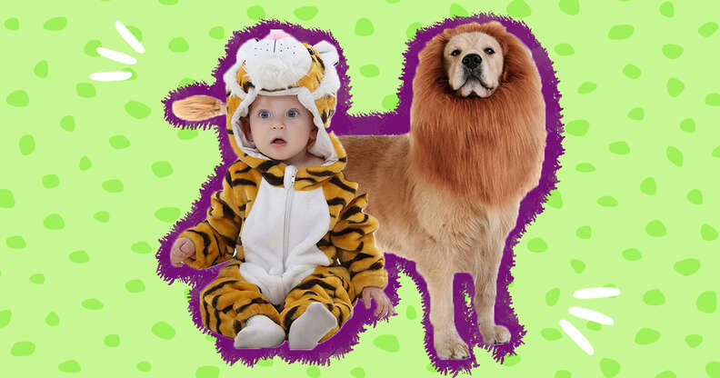 babies and dogs in matching costumes