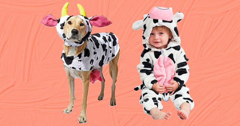 cow dog and baby costumes