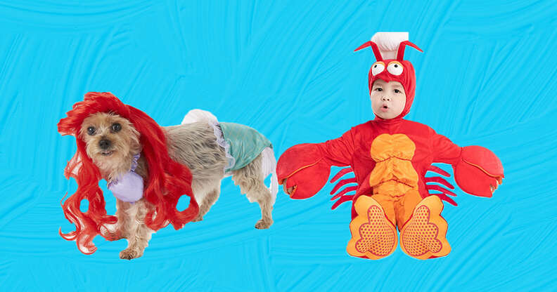 Dog baby halloween costumes clearance