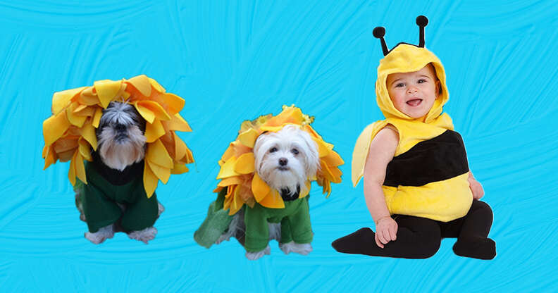 flower and bumblebee dog and baby costume